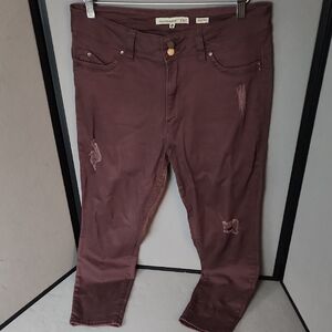 YMI Women's Distressed Skinny Jeans in Brown